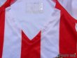 Photo4: AS Monaco 2005-2006 3RD Shirt (4)