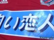 Photo6: Consadole Sapporo 2005 Home Shirt (6)