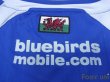 Photo6: Cardiff City 2006-2007 Home Shirt w/tags (6)
