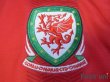 Photo5: Wales 2011-2012 Home Shirt w/tags (5)