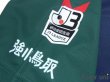 Photo6: Gainare Tottori 2018 Home Shirt w/tags (6)