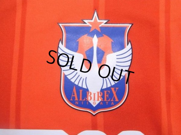 Photo5: Albirex Niigata 2008-2009 Home Shirt (5)