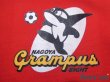 Photo5: Nagoya Grampus Track Jacket and Pants Set (5)