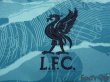 Photo6: Liverpool 2020-2021 Away Shirt #6 Thiago Alcantara Premier League Champions 2019/20 Patch/Badge w/tags (6)
